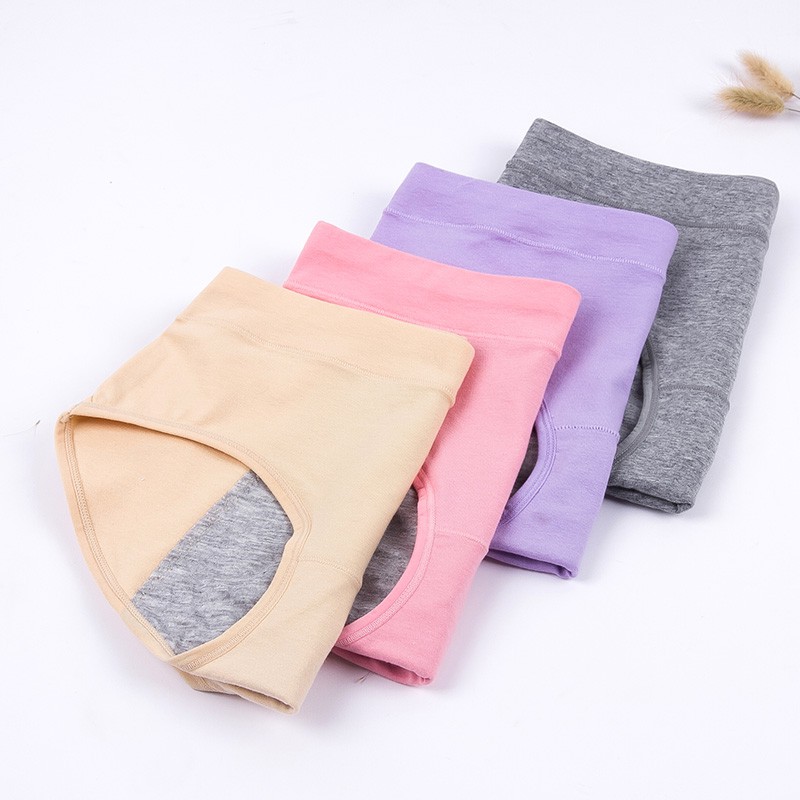 Pack Of 4 Pcs Leak Proof Menstrual Period Panties For Women