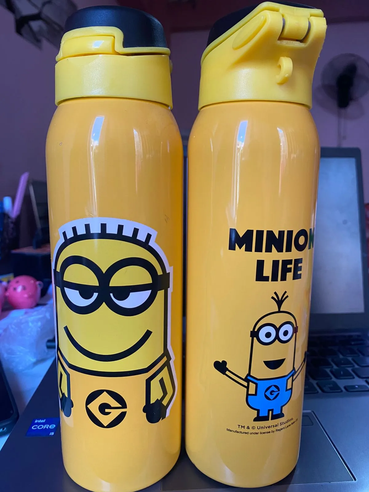 Stainless Steel Kids Cartoon Characters Insulated, Vacuum Water Bottle With Straw - 750ml