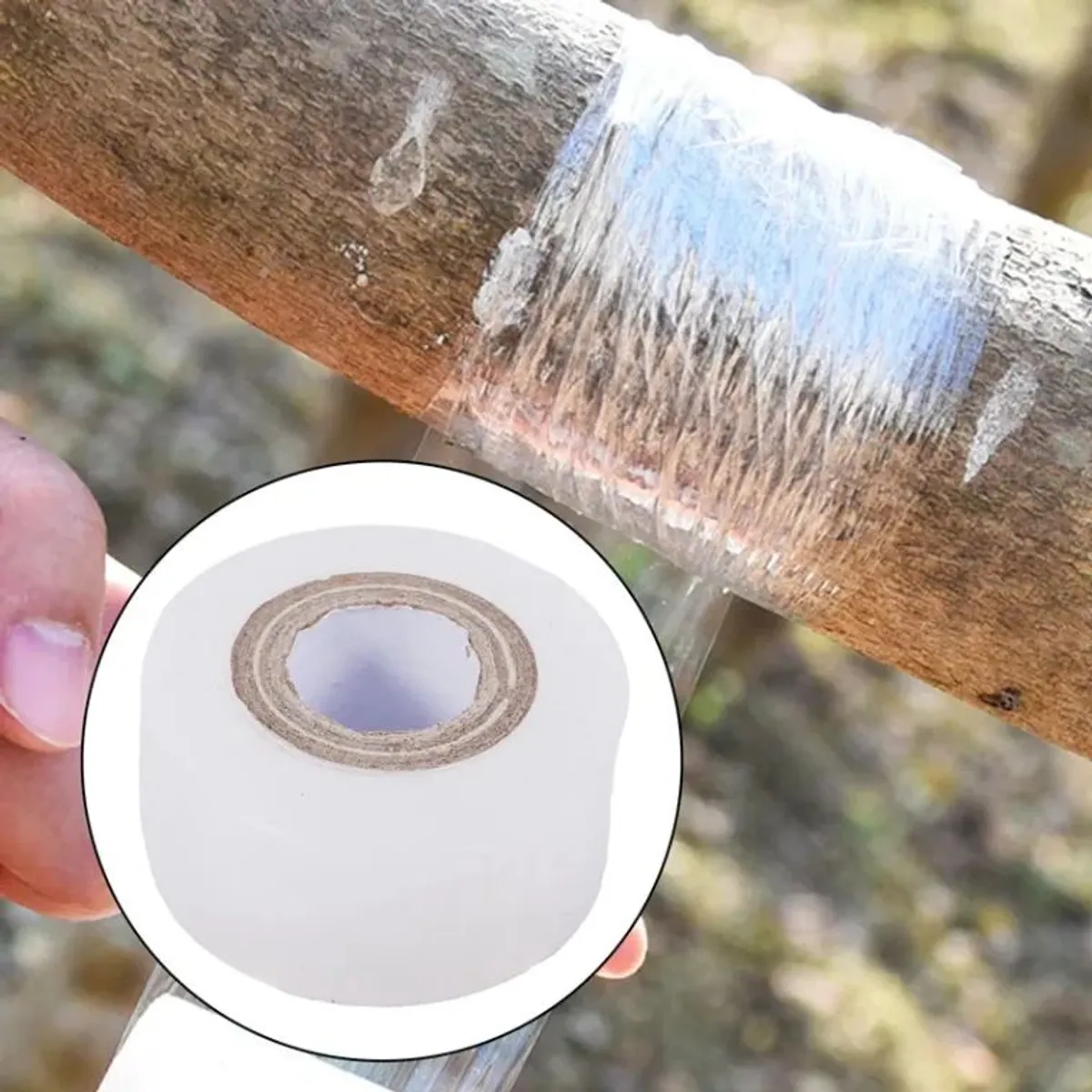 Stretchable Nursery Grafting Film – 3.5 cm × 100 m 0ff White