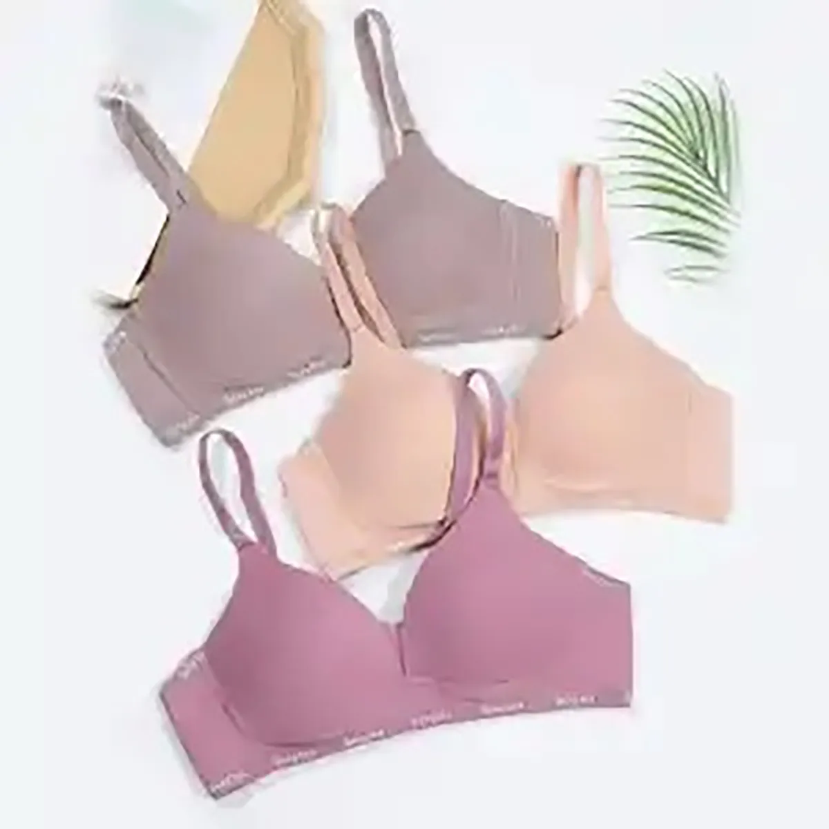Soft And Sheen Moderate Push-up Bra For Women- Pack Of 2