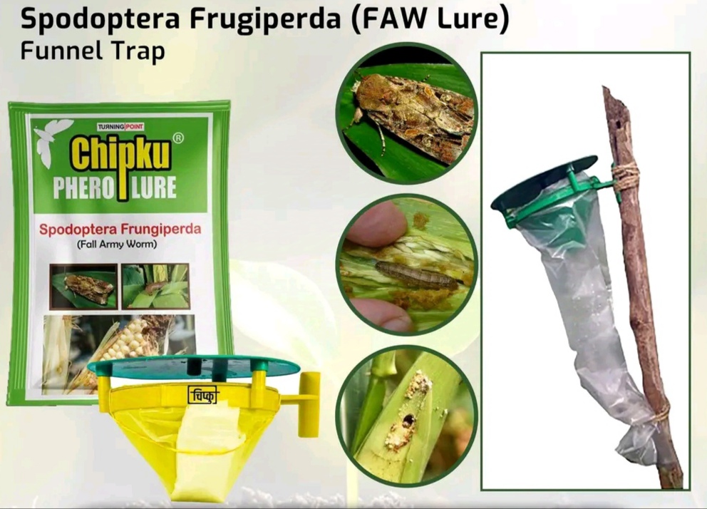 Pheromone Funnel Trap For Insect Fall Army Worm Lure & Trap For Maze/Corn Crop (Spodoptera Frugiperda)