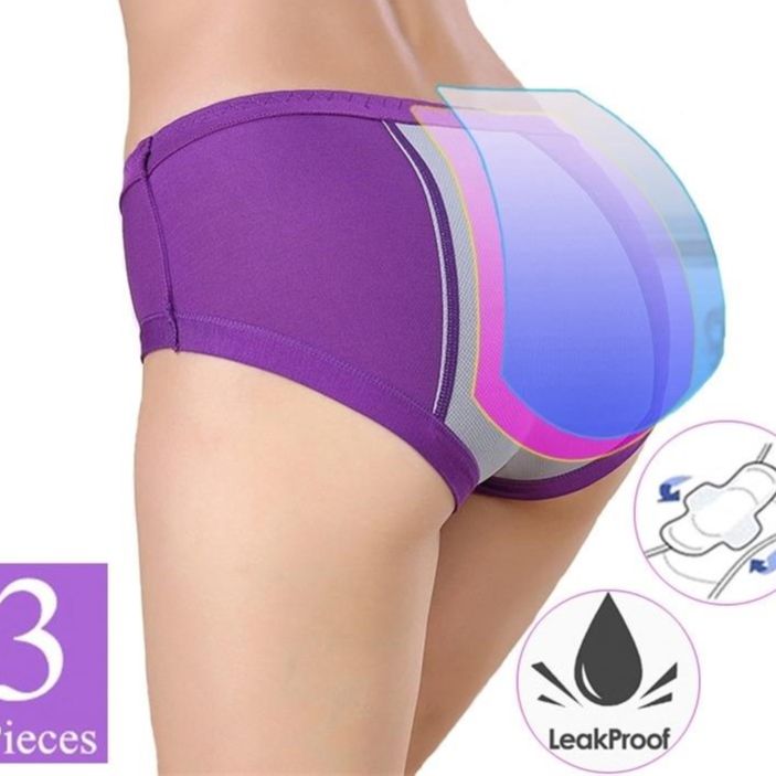 3-Pc Women’s Menstrual Period Panties Set - Multicolor (Free Size)
