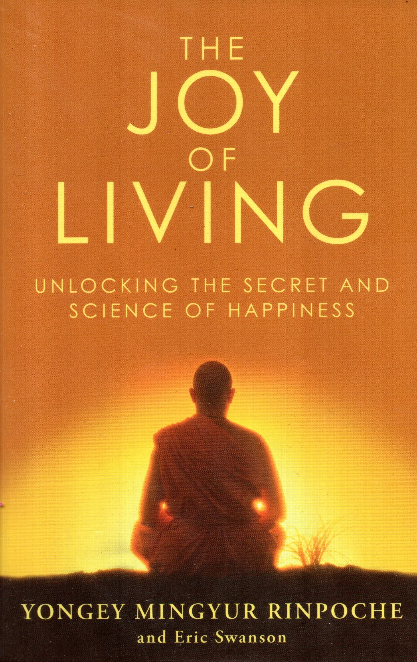 The Joy Of Living By Yongey Mingyur Rinpoche (Paperback)