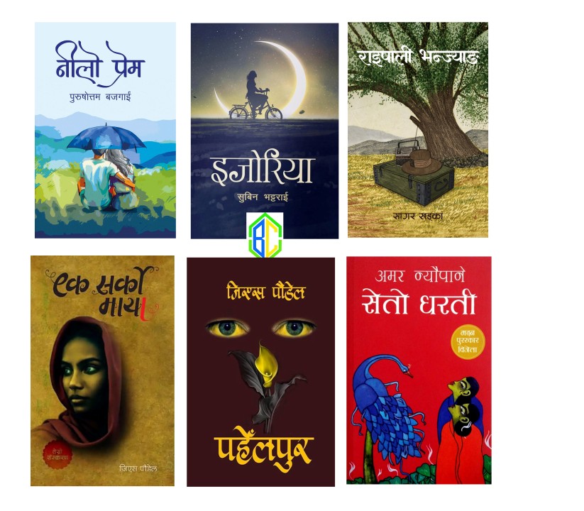 6 Best Nepali Novels Nilo Prem Raipali Bhanjyang Ijoriya Ek Sarko Maya Pahelpur Seto Dharti (Paperback)