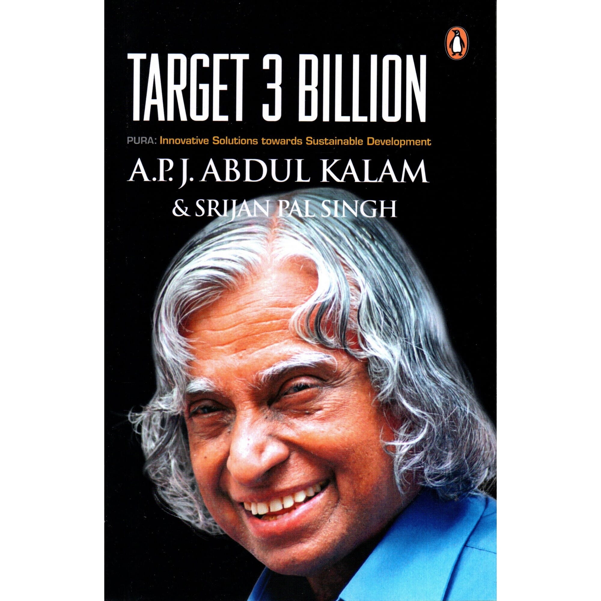 Target 3 Billion: Innovative Solutions Towards Sustainable Development (Paperback)