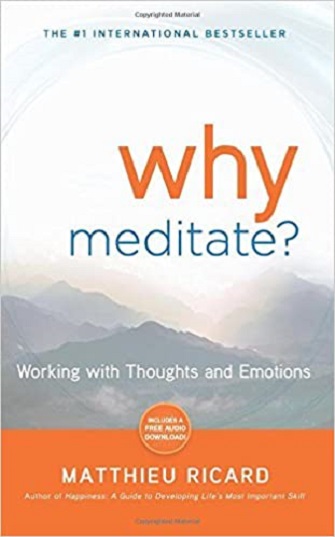 Why Meditate? By Matthieu Ricard (Paperback)