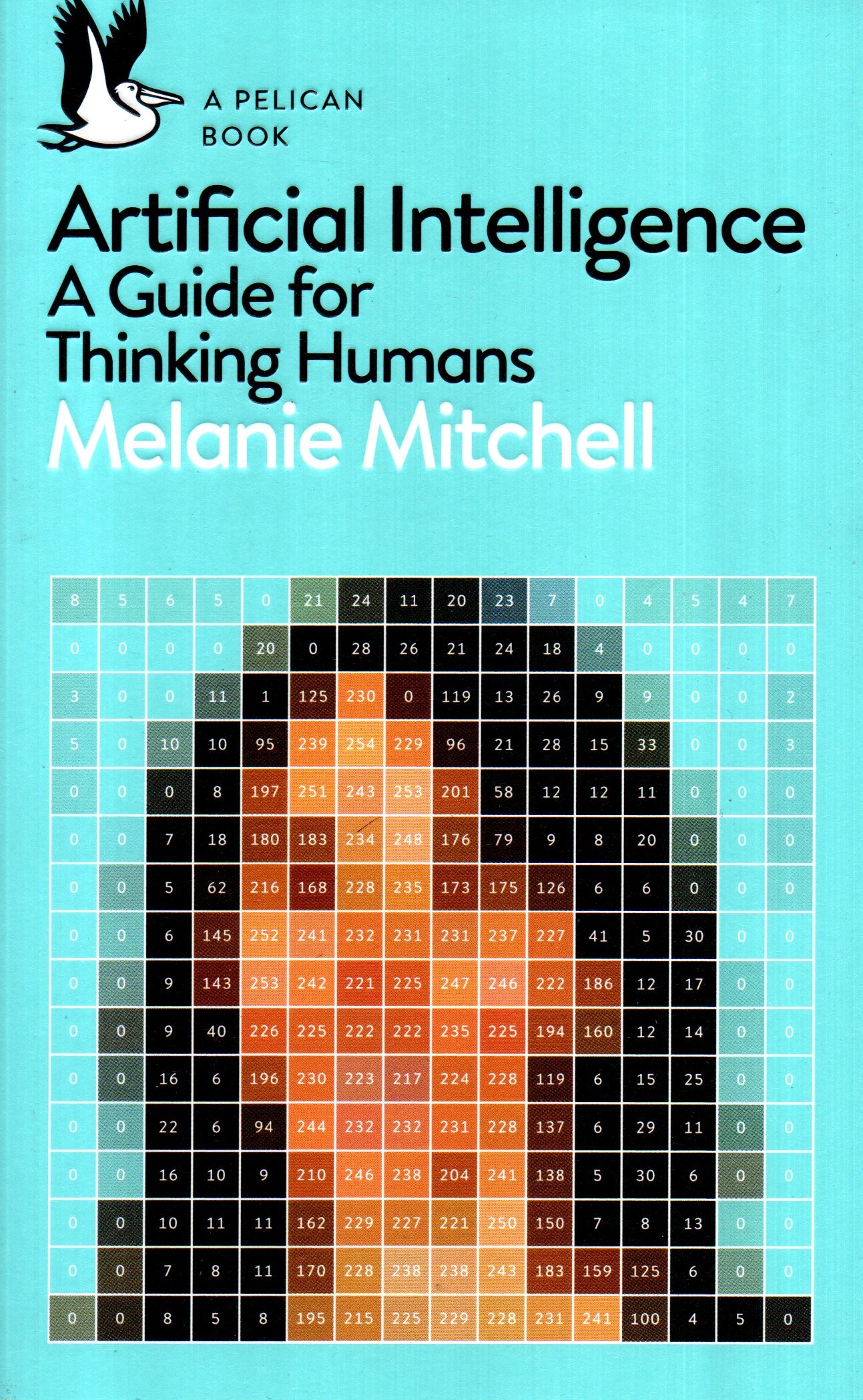 Artificial Intelligence: A Guide for Thinking Humans by Melanie Mitchell (Paperback)