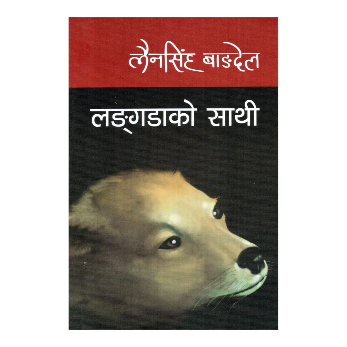 Langadako Sathi by Lainsingh Wagdel (Paperback)