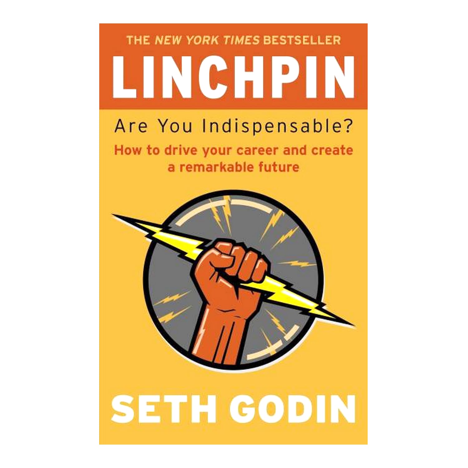 Linchpin By Seth Godin (Paperback)