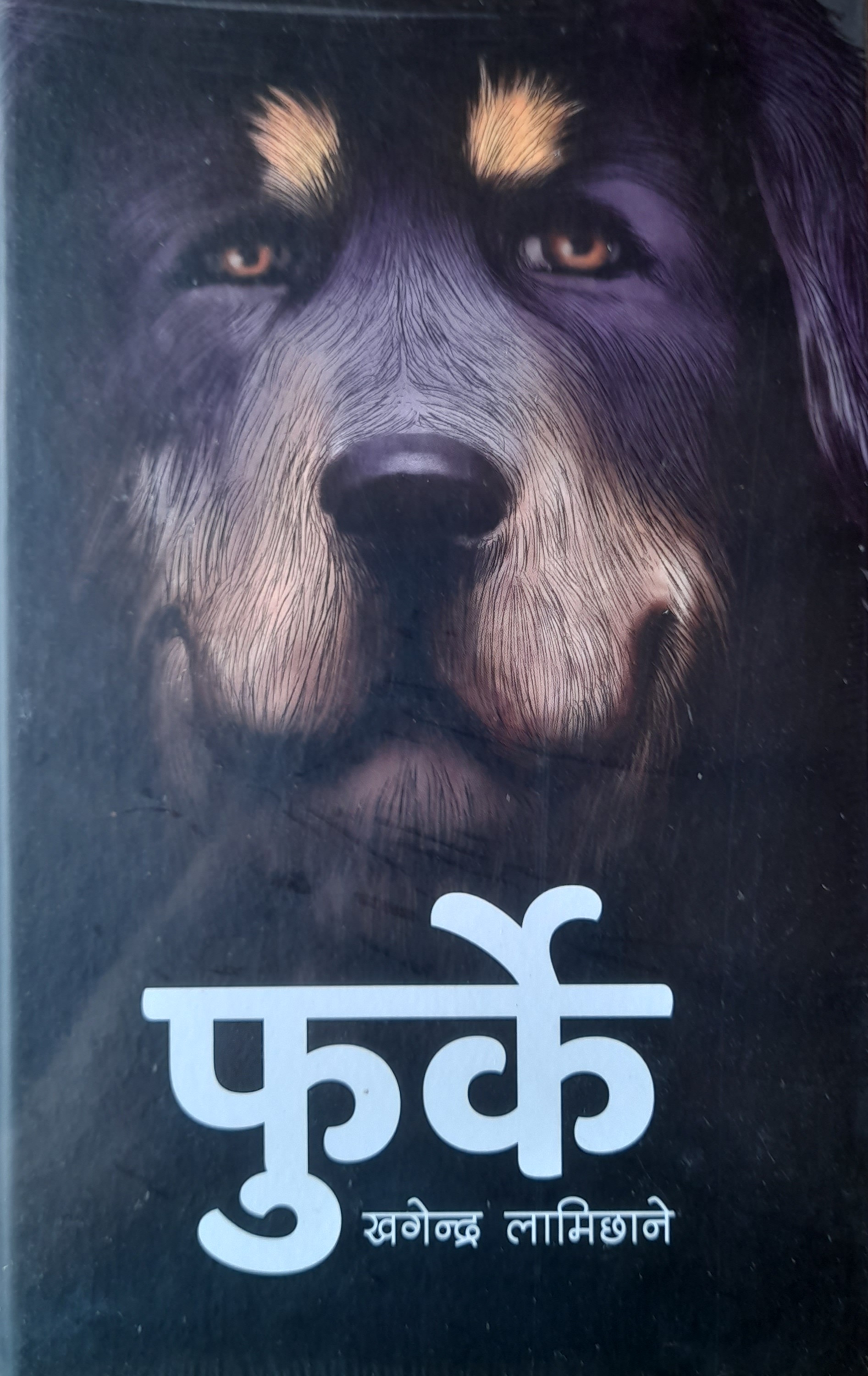 Furke By Khagendra Lamichhane (Hardcover)