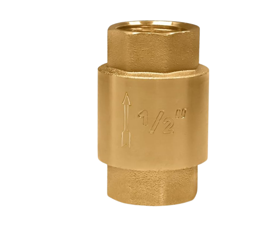 Brass 1/2 Inch Check Valve Stainless Steel Spring - Gold
