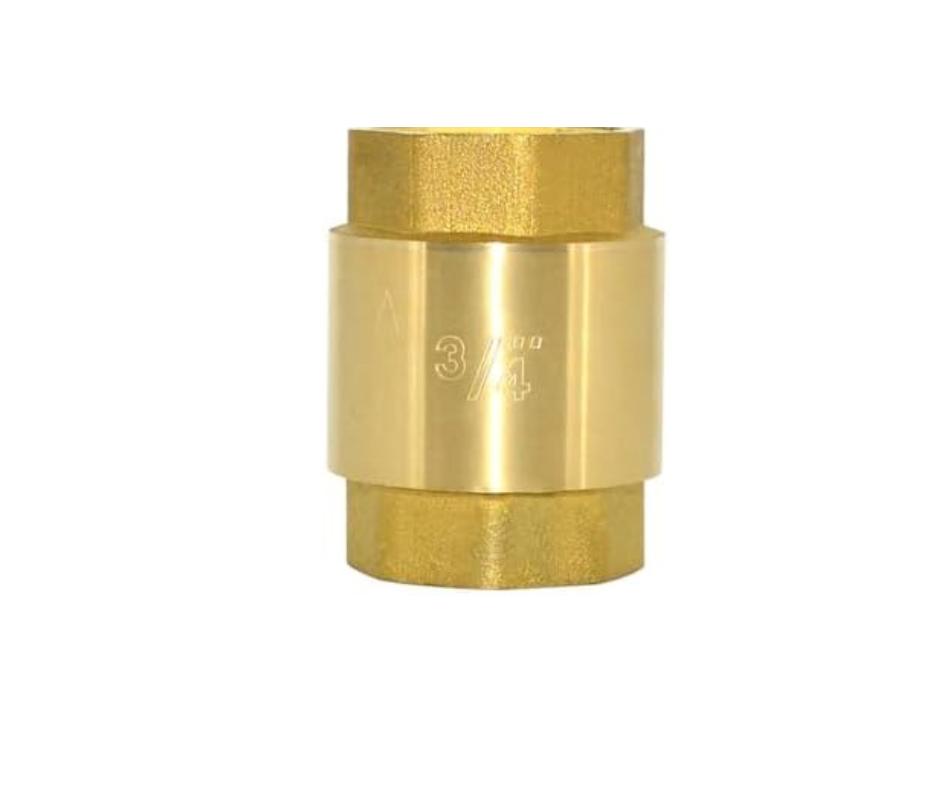 Brass 3/4 Inch Check Valve Stainless Steel Spring - Gold