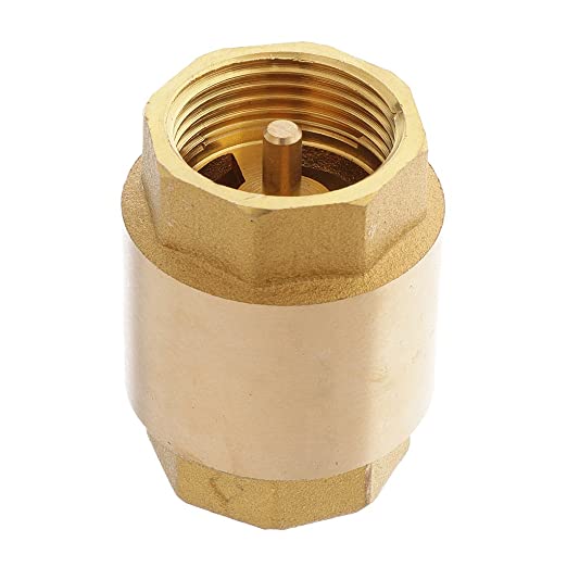 Brass 1 Inch Check Valve with Stainless Steel Spring - Gold