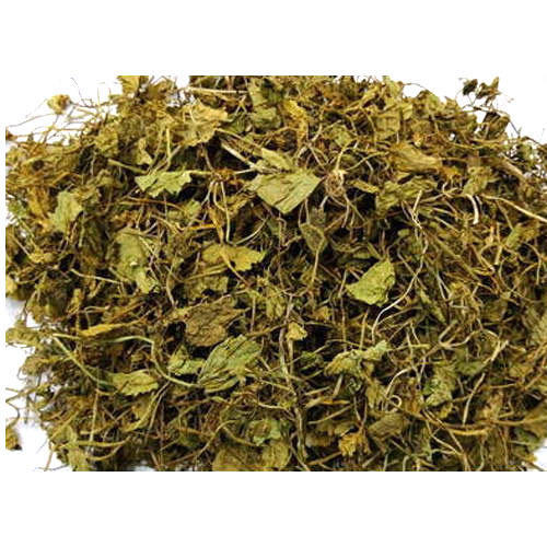 Brahmi Dry / Centella Asiatica / Ghodtapre - 100gm