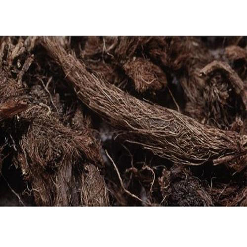 Jatamasi Spikenard - 500Gm