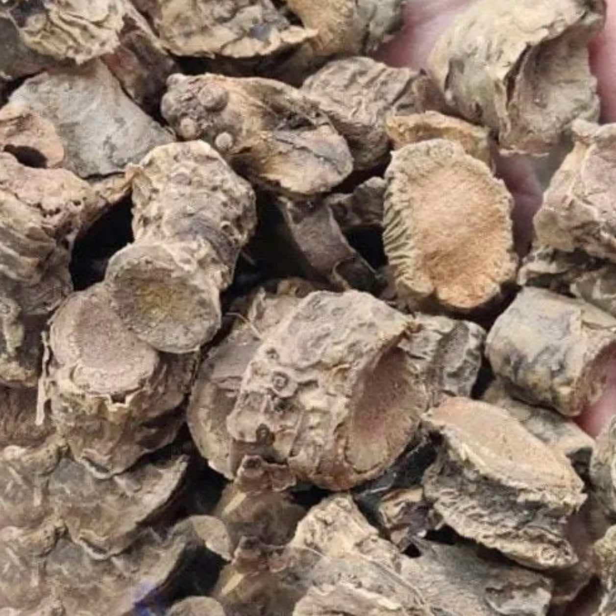 Pakhanbhed Pashan Bhed Pakhanaved Herb - 1Kg