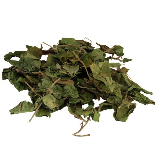 Gurmar Patta Leaves Dried - 250 Gm
