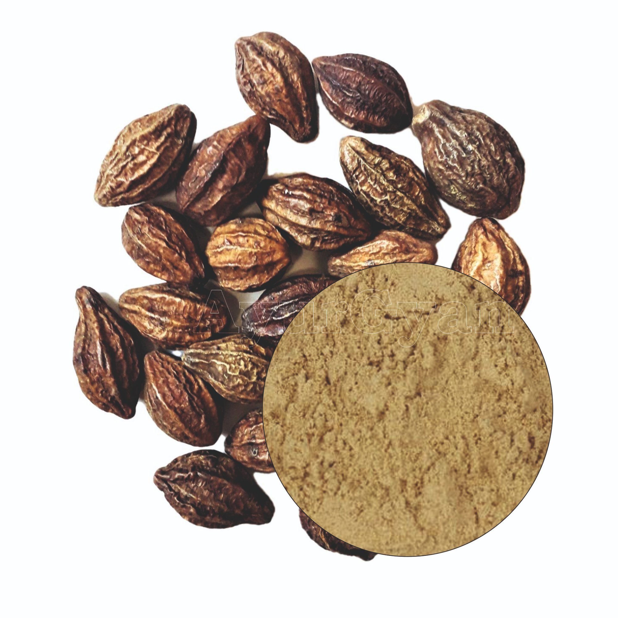 Harro Harad Big Organic Wild Ayurvedic Herb - 50Gm