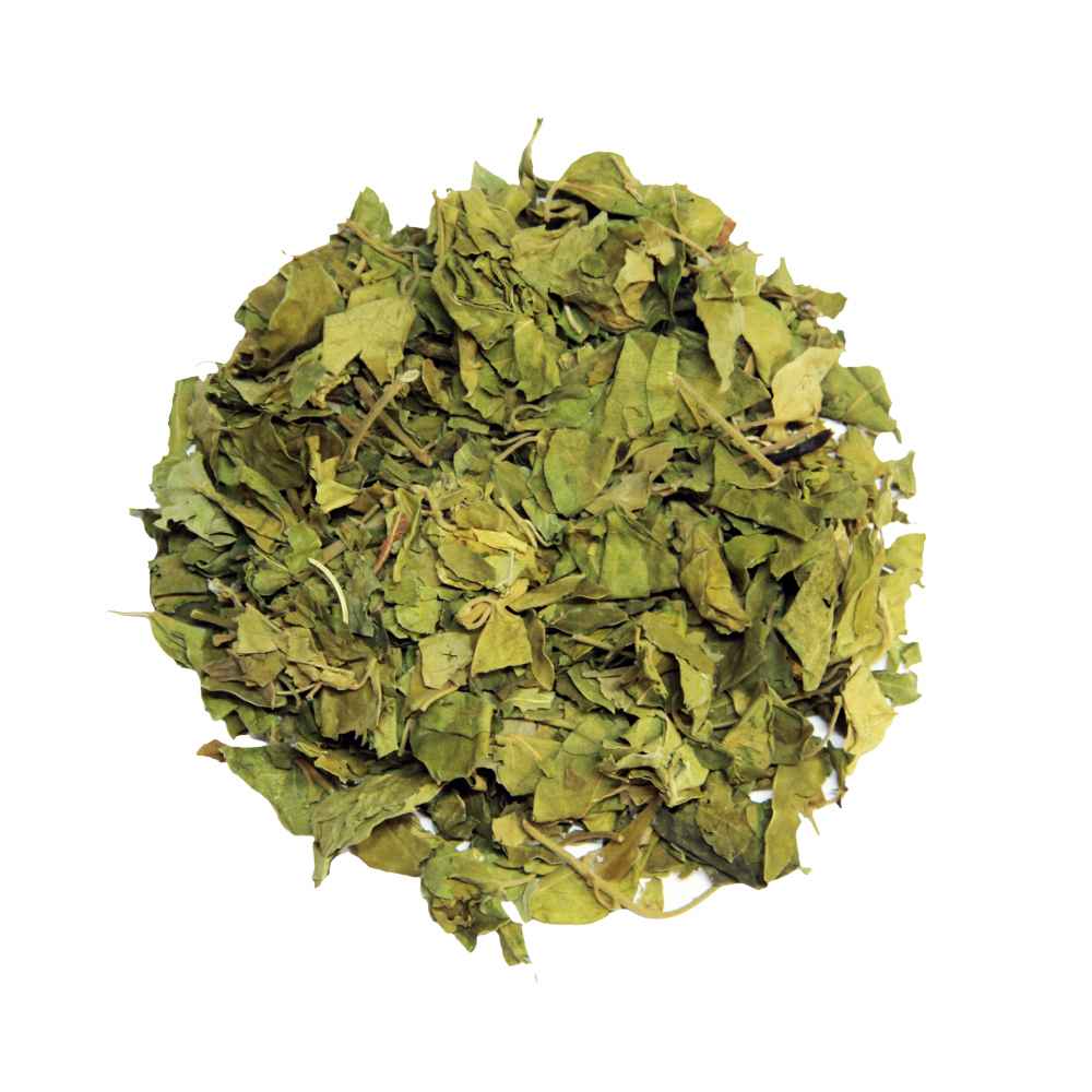 Gurmar Patta Leaves Dried - 100Gm