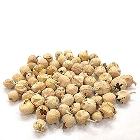 Paneer Ka Phool Panir Flower - 500Gm