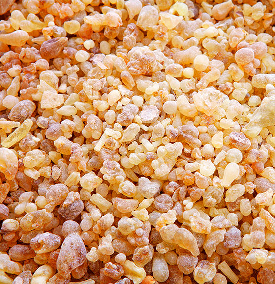 Frankincense / Raw Frank Incense Solid - 200Gm