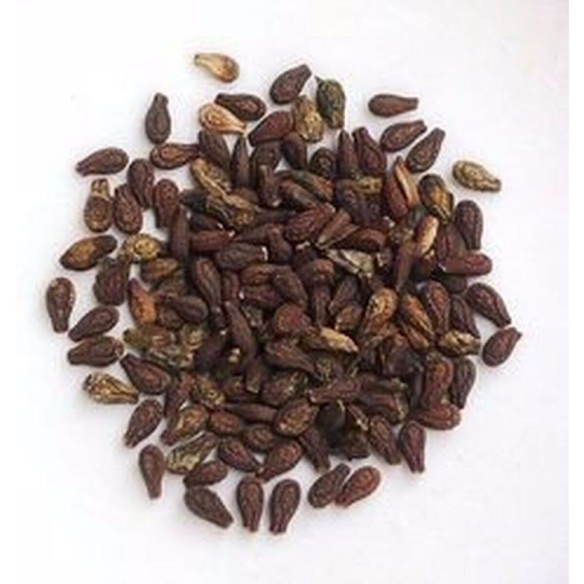 Shivalingi Seeds Shivlingi Beej Clean Sorted - 250Gm