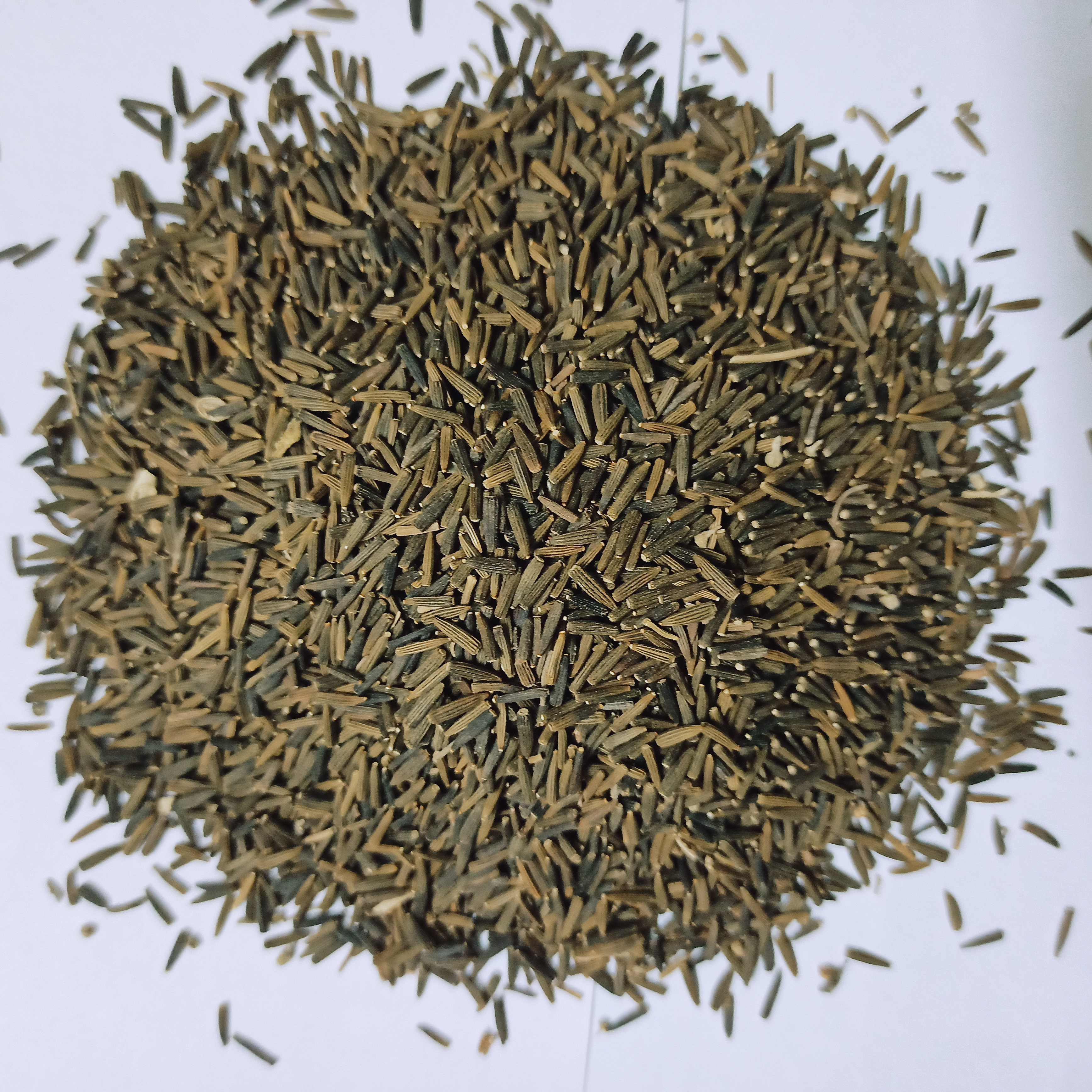 Black Cumin Kalo Jeera Tito Jeera - 500Gm 