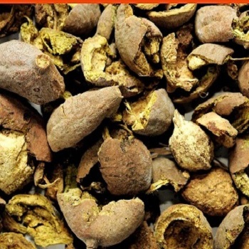 Barro Beheda Powder Organic Wild - 500Gm