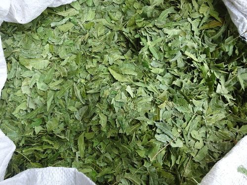 Neem Pat Nim Leaves - 1Kg