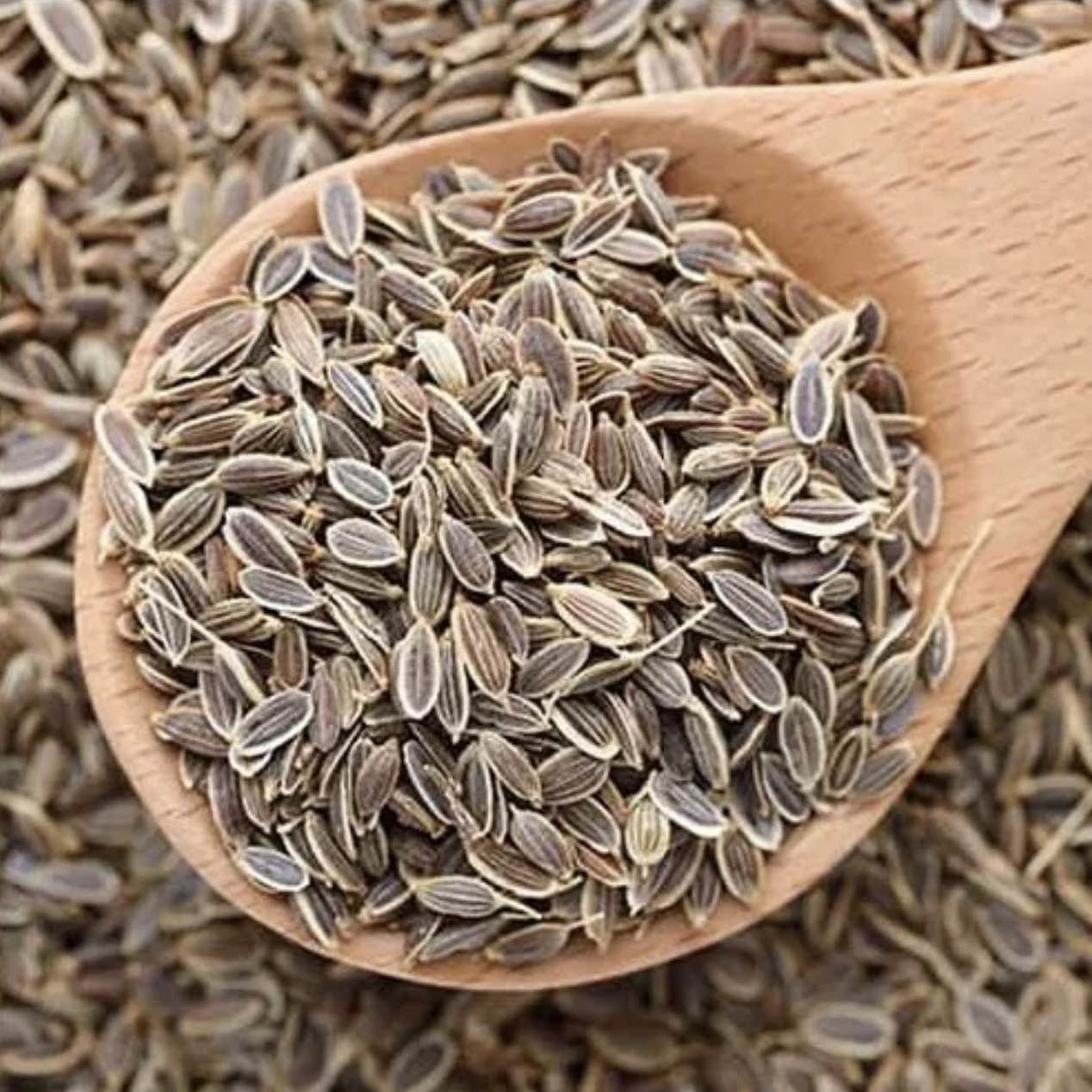 Nepali Saunf Fennel Seeds - 100Gm