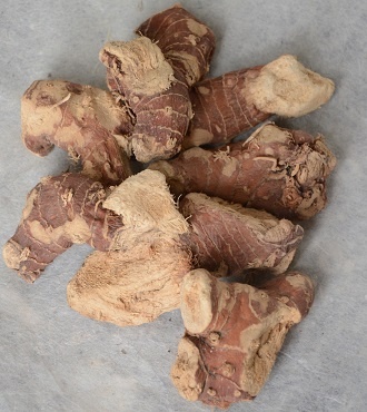 Pankojara Betelnut Root - 100Gm
