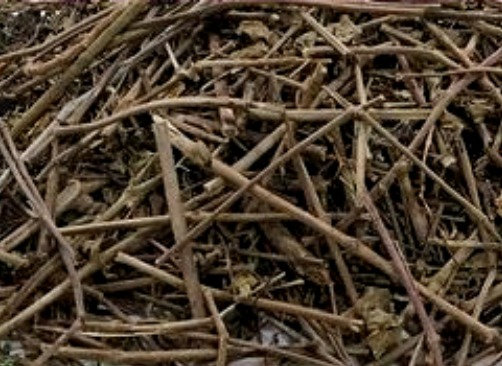 Punarnawa -  100 Gm