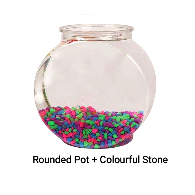 Rounded Bowl Aquarium Pot With Colorful Stone Included