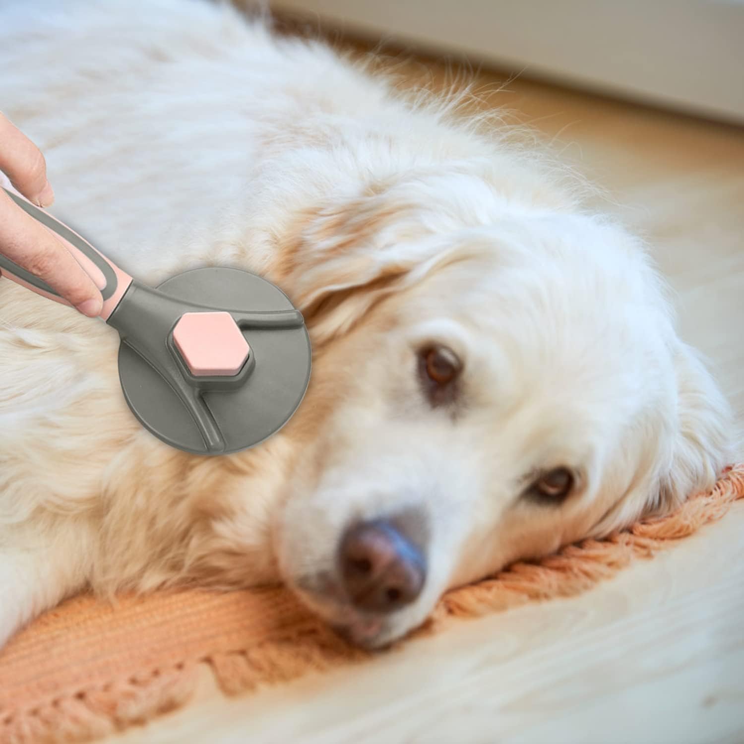 Self-Cleaning Slicker Pet Hair Brush for Dogs & Cats - Green