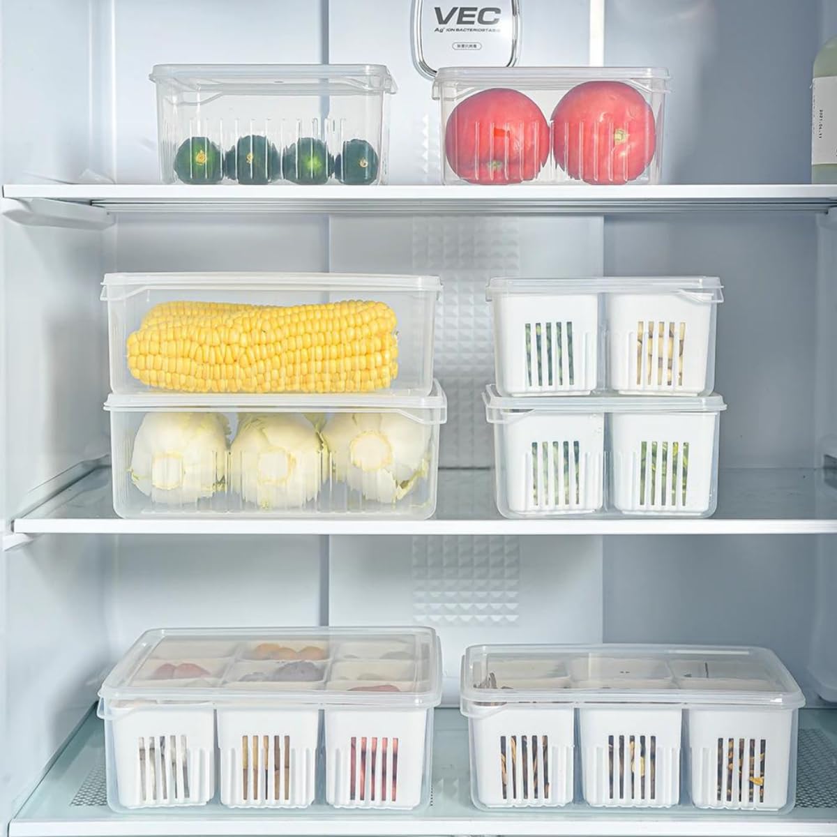 TPT 2 Compartment Plastic Fridge Storage Container - Multicolor