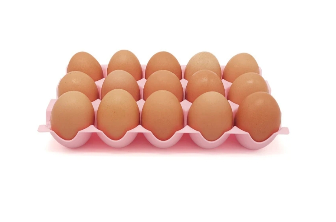 Egg Crate Storage Tray - Multicolor