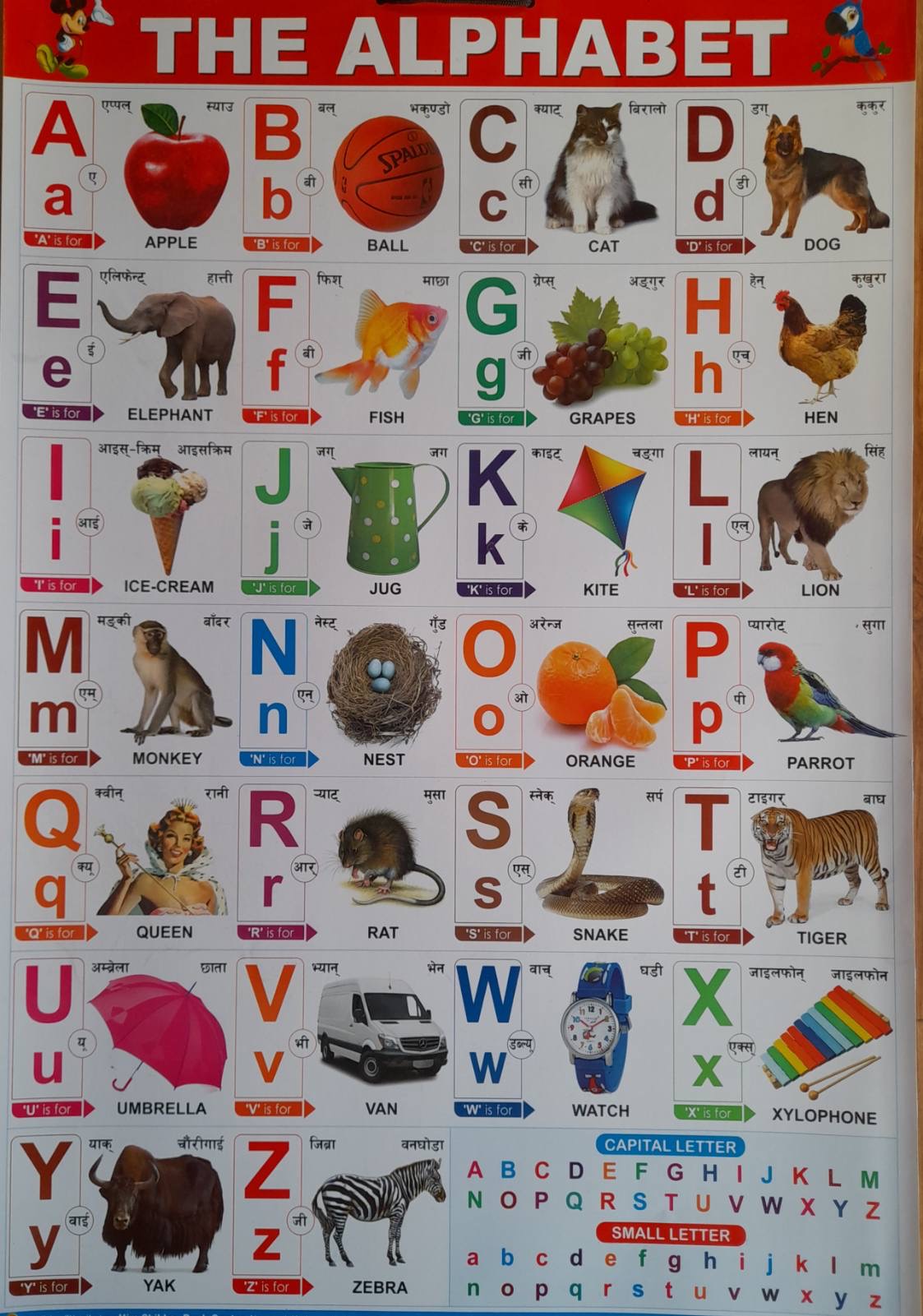 Children's Alphabet Chart - Multicolor
