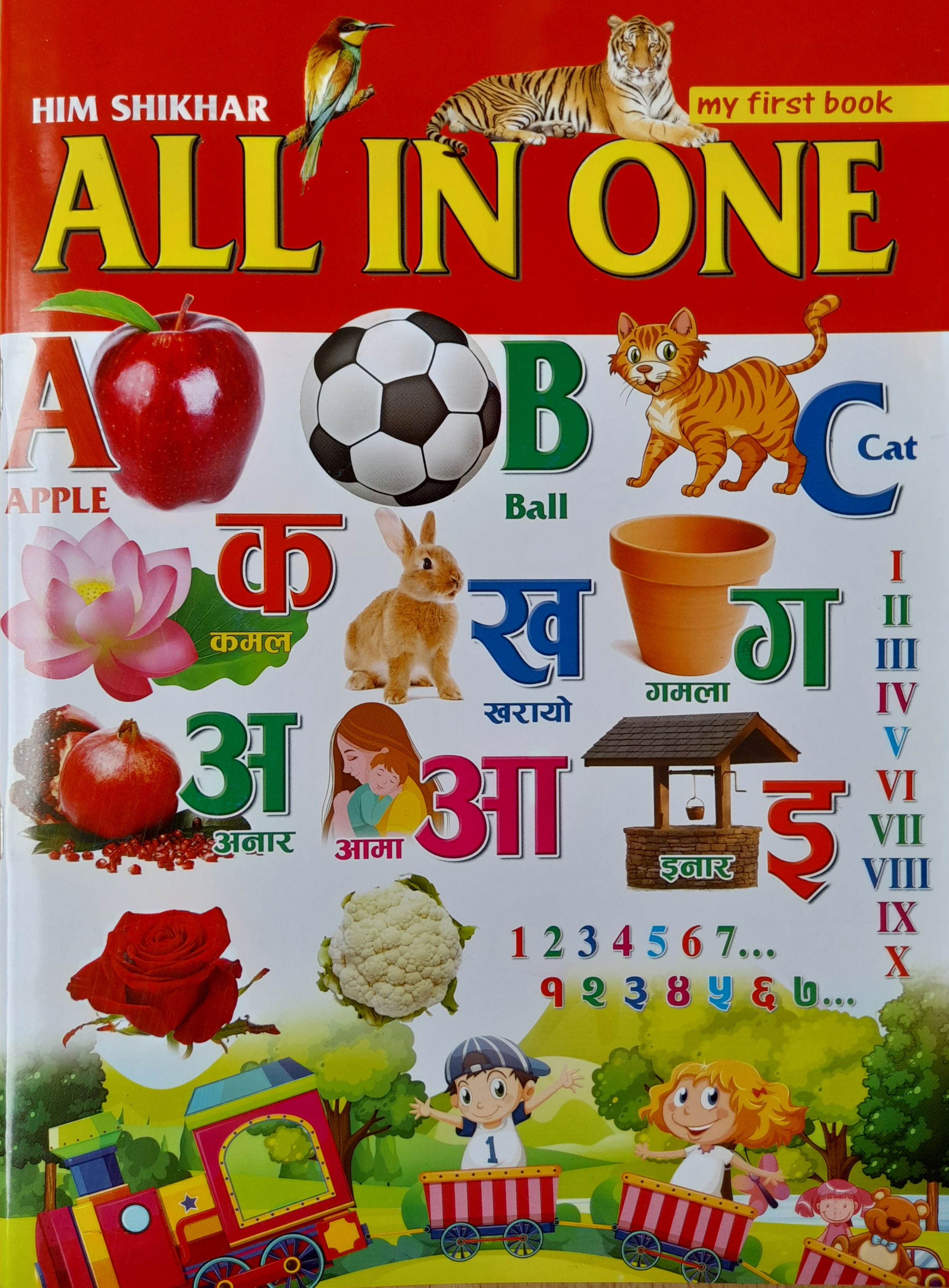 All In One Book (Laminated Waterproof)