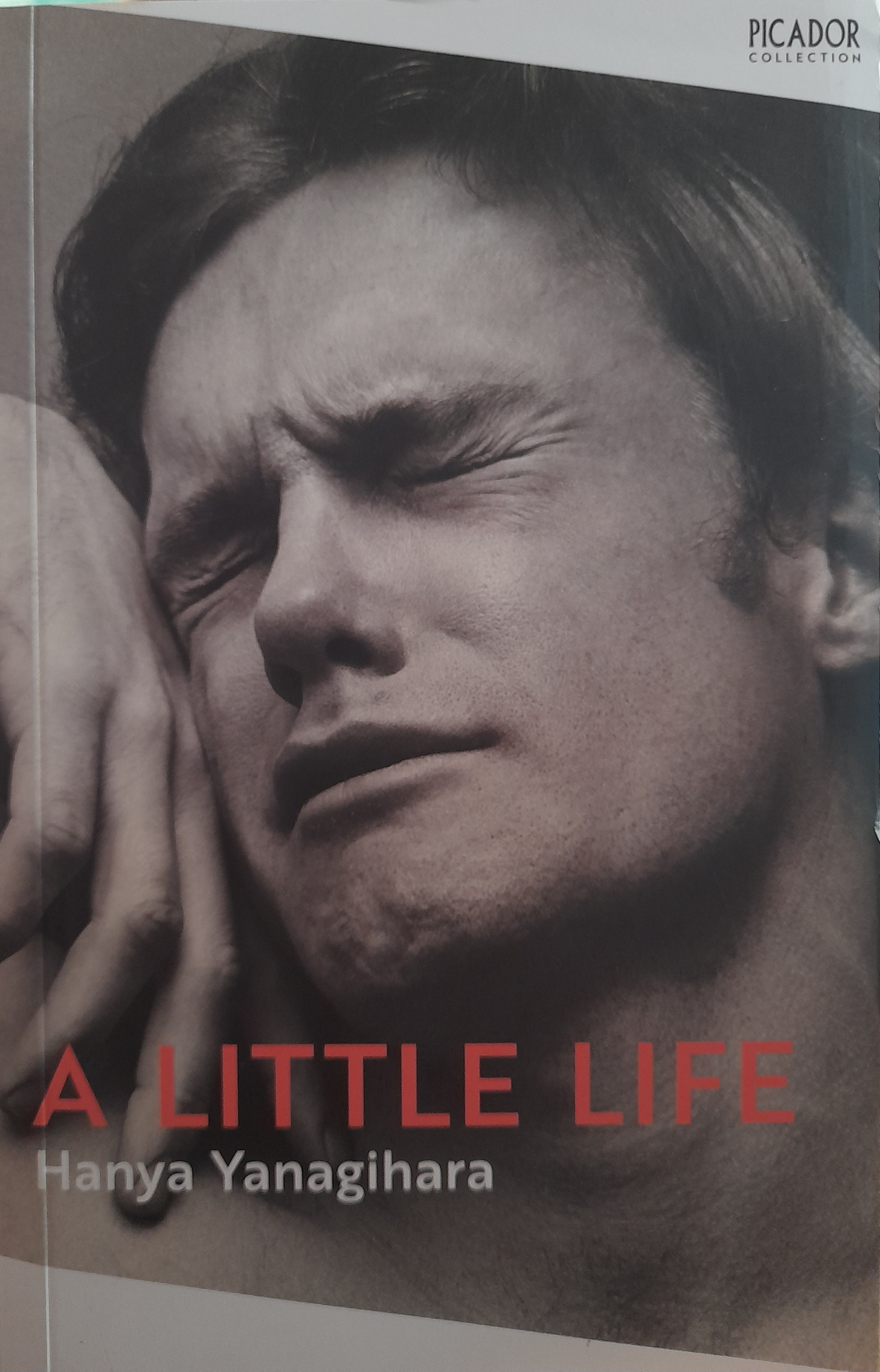 A Little Life By Hanya Yanagihara (Paperback)