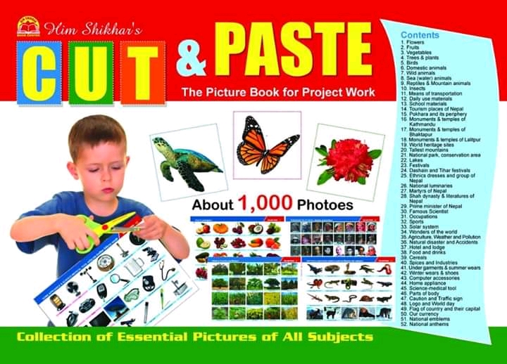 Cut & Paste (Paperback)