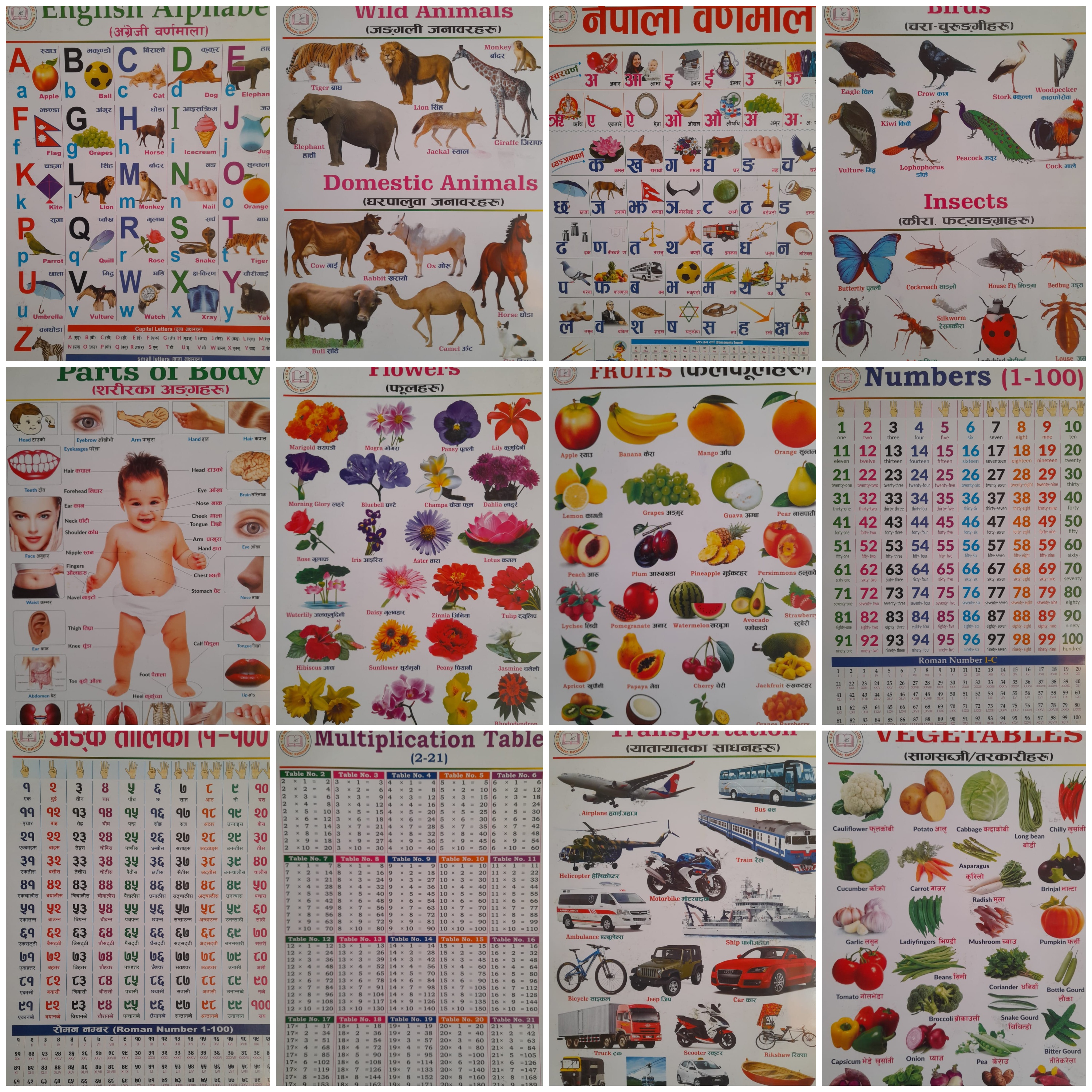 English & Nepali Chart For Kids 12 In 6 Charts (Spiral Wall Chart)