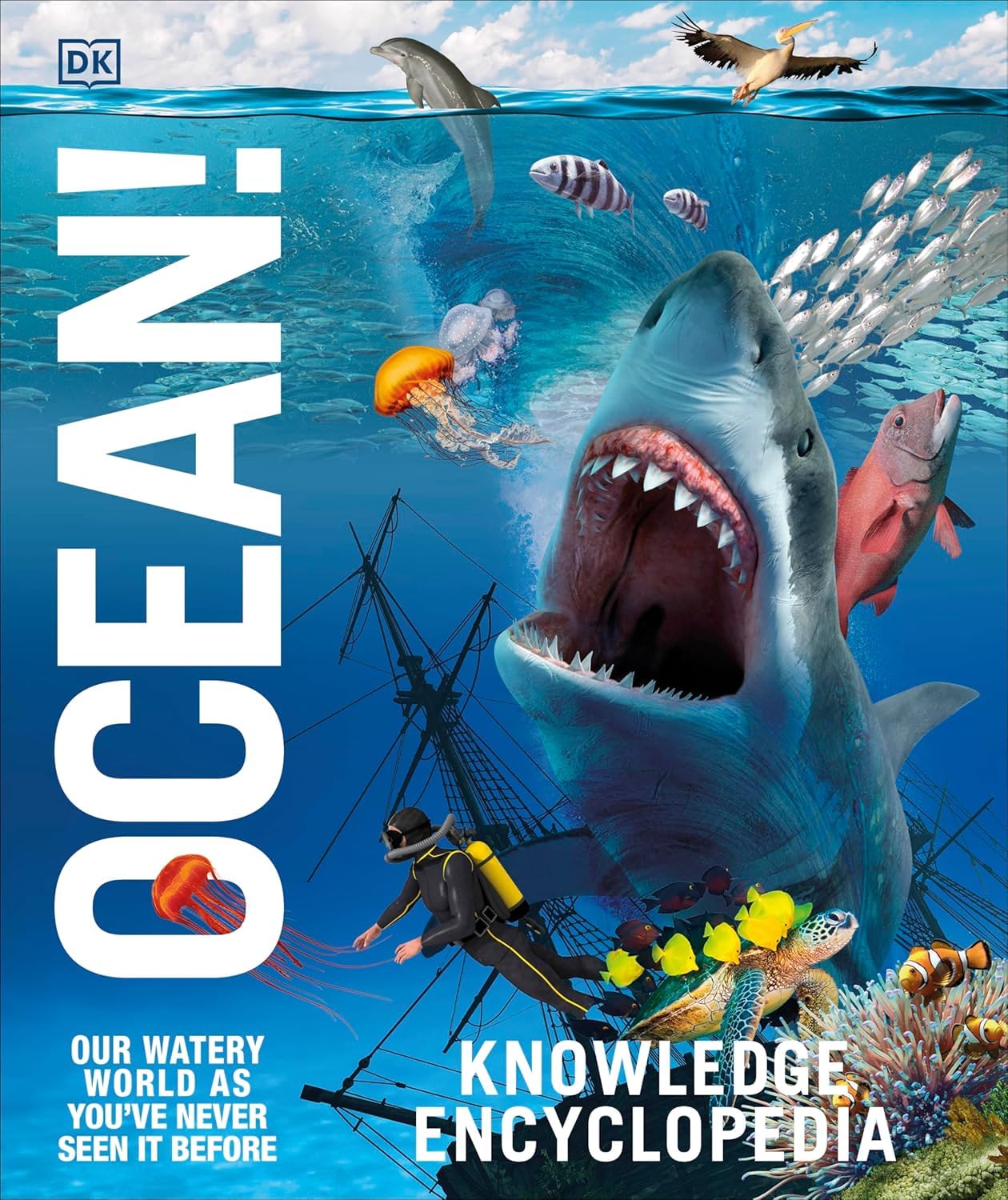 Knowledge Encyclopedia: Ocean! (Paperback)