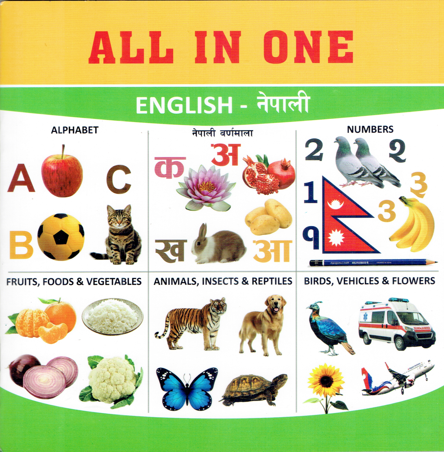 All In One : English - Nepali (Paperback)
