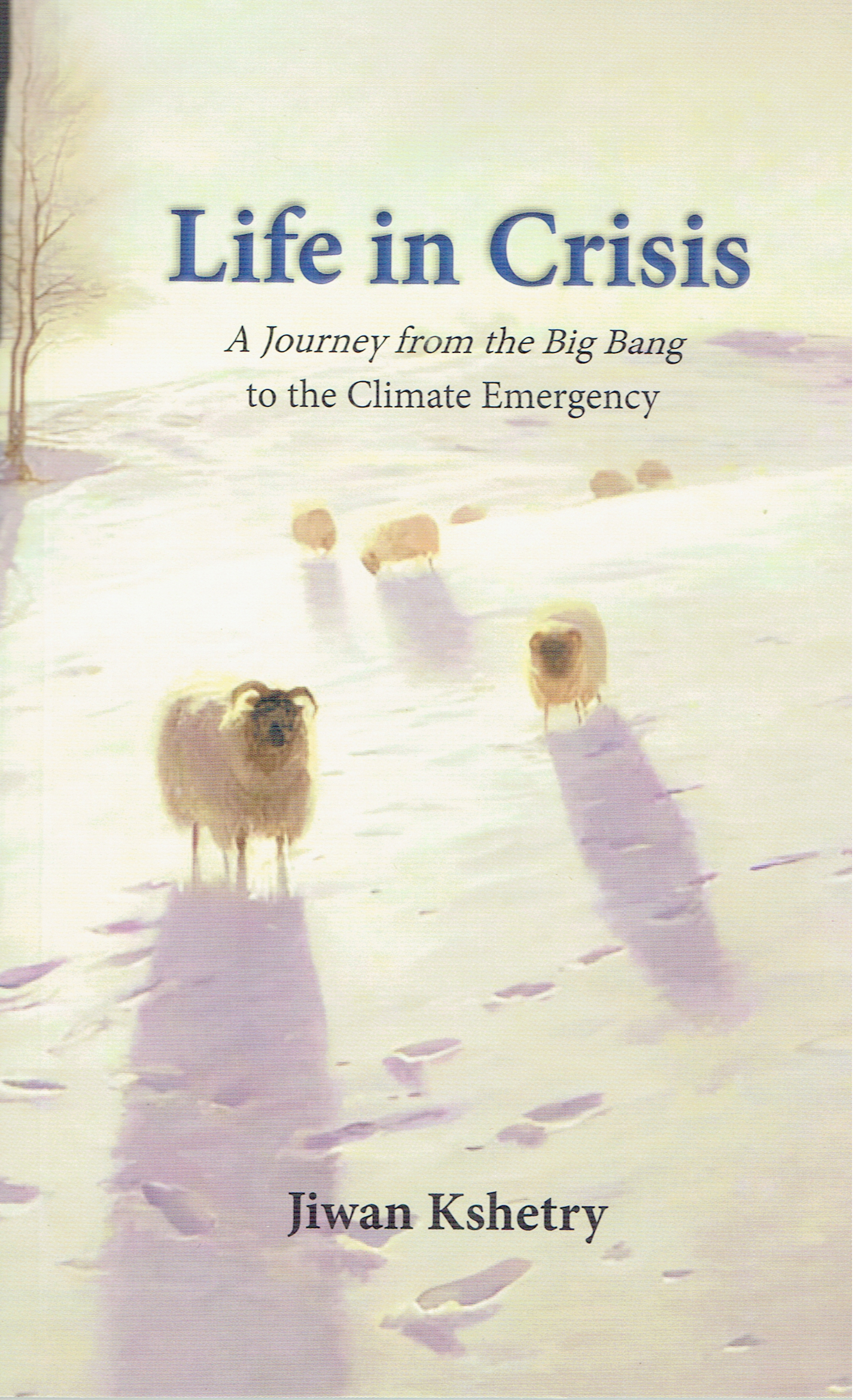 Life In Crisis : A Journey From The Big Bang To The Climate Emergency By Jiwan Kshetry (Paperback) 