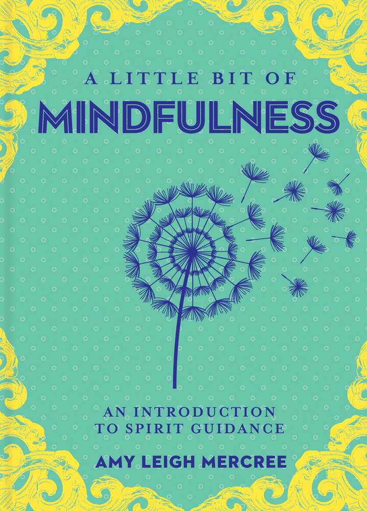 A Little Bit Of Mindfulness By Amy Leigh Mercree (Hardcover) 