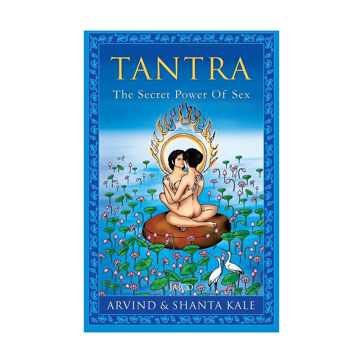 Tantra: The Secret Power Of S** By Arvind (Paperback) 