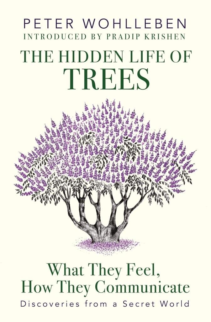 The Hidden Life of Trees By Peter Wohlleben (Hardcover) 