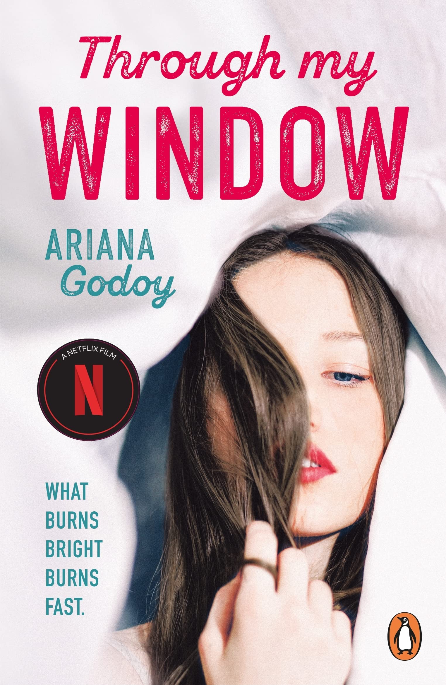 Through My Window By Ariana Godoy (Paperback) 