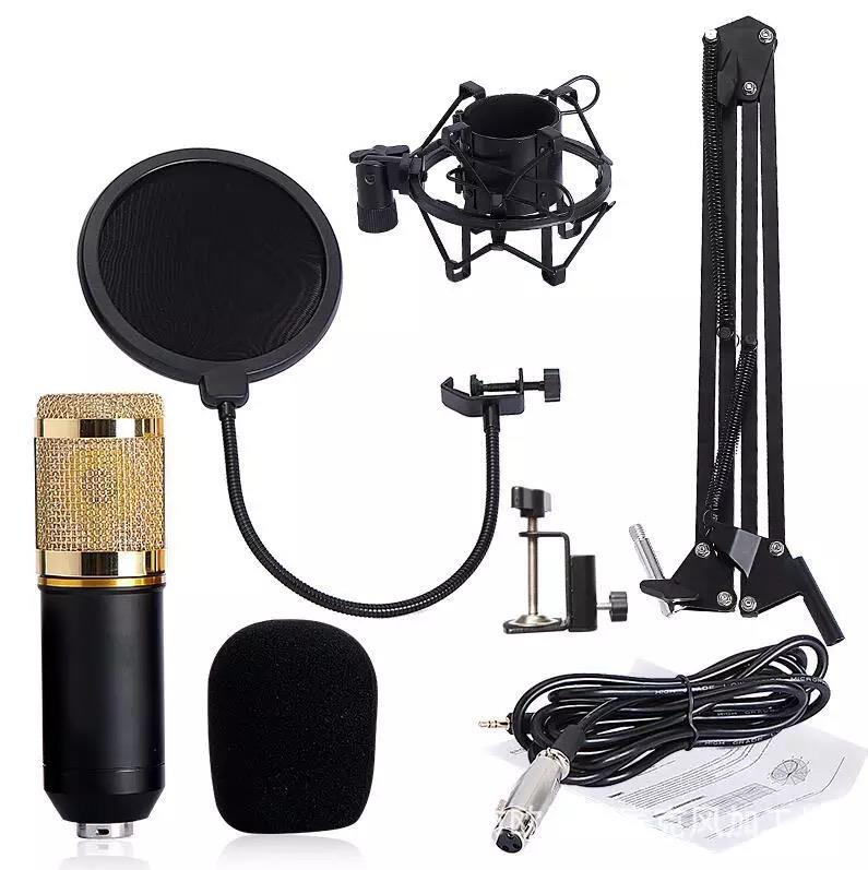 BM-800 Pro Condenser Microphone With Studio Stand - Black