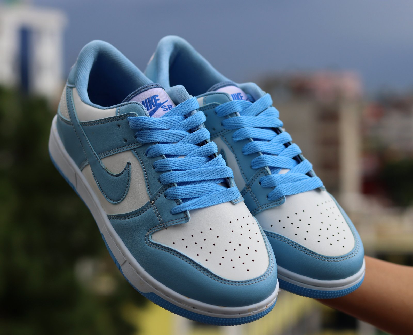 Air Force SB Dunk Premium Sneakers For Women